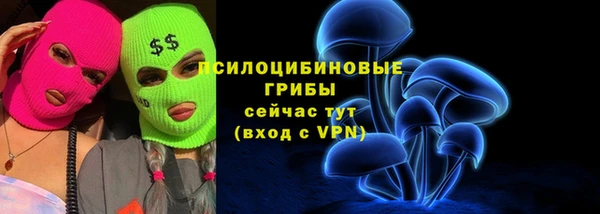 spice Алексеевка