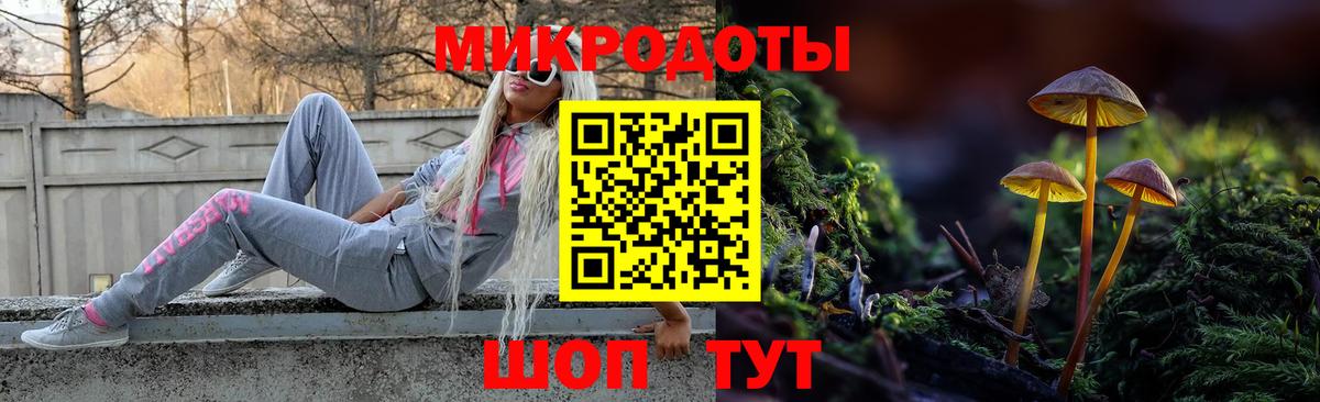 Псилоцибиновые грибы GOLDEN TEACHER Зеленогорск